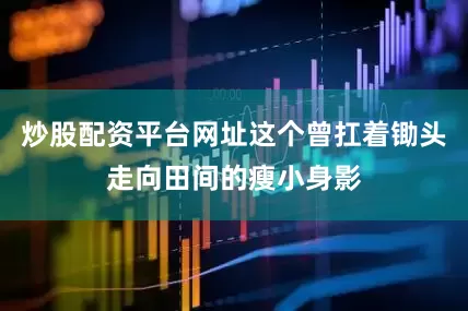 炒股配资平台网址这个曾扛着锄头走向田间的瘦小身影