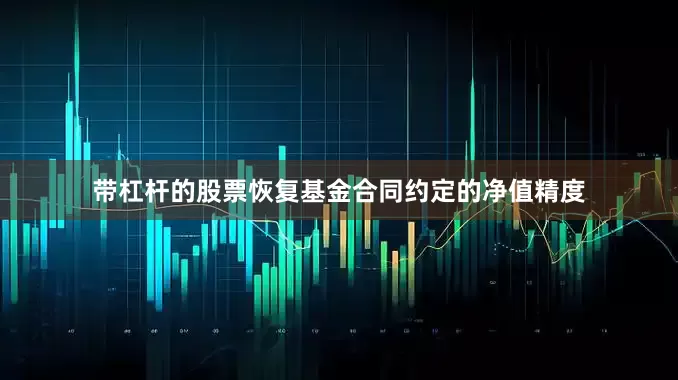 带杠杆的股票恢复基金合同约定的净值精度