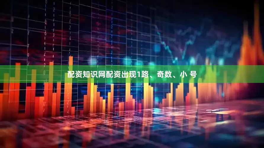 配资知识网配资出现1路、奇数、小 号